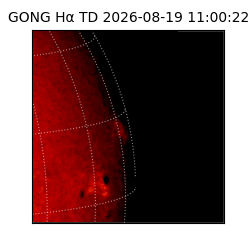 gong - 2026-08-19T11:00:22