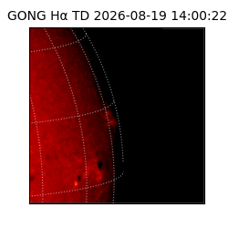 gong - 2026-08-19T14:00:22