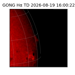 gong - 2026-08-19T16:00:22