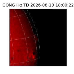 gong - 2026-08-19T18:00:22