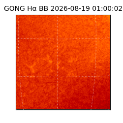 gong - 2026-08-19T01:00:02