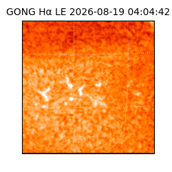 gong - 2026-08-19T04:04:42