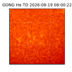 gong - 2026-08-19T08:00:22
