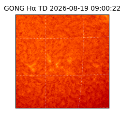 gong - 2026-08-19T09:00:22