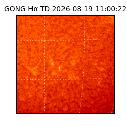 gong - 2026-08-19T11:00:22