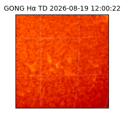 gong - 2026-08-19T12:00:22