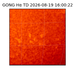 gong - 2026-08-19T16:00:22