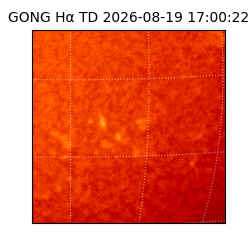 gong - 2026-08-19T17:00:22