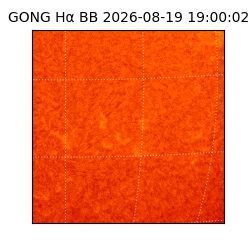 gong - 2026-08-19T19:00:02