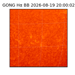 gong - 2026-08-19T20:00:02
