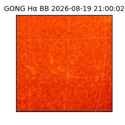 gong - 2026-08-19T21:00:02