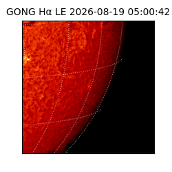 gong - 2026-08-19T05:00:42