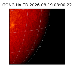 gong - 2026-08-19T08:00:22