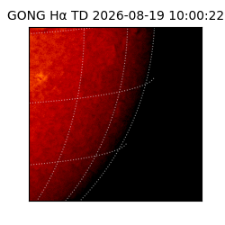 gong - 2026-08-19T10:00:22