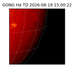 gong - 2026-08-19T15:00:22
