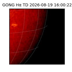 gong - 2026-08-19T16:00:22