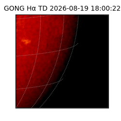gong - 2026-08-19T18:00:22