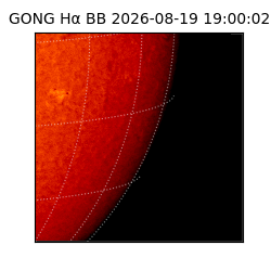 gong - 2026-08-19T19:00:02