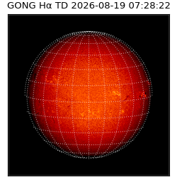 gong - 2026-08-19T07:28:22