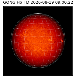 gong - 2026-08-19T09:00:22