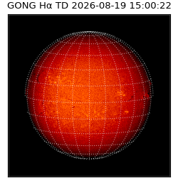 gong - 2026-08-19T15:00:22