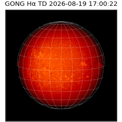 gong - 2026-08-19T17:00:22