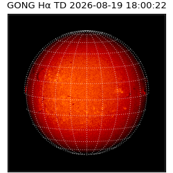 gong - 2026-08-19T18:00:22
