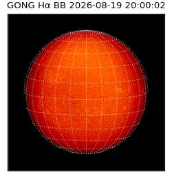 gong - 2026-08-19T20:00:02
