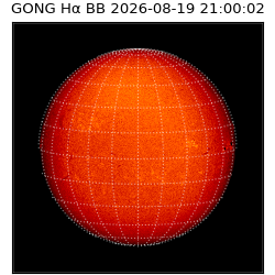 gong - 2026-08-19T21:00:02