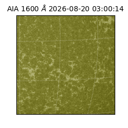 saia - 2026-08-20T03:00:14.130000