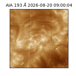saia - 2026-08-20T09:00:04.842000