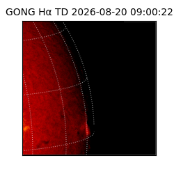 gong - 2026-08-20T09:00:22