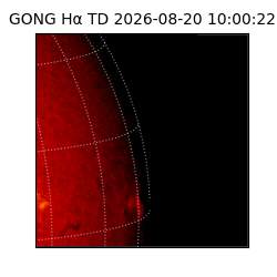 gong - 2026-08-20T10:00:22