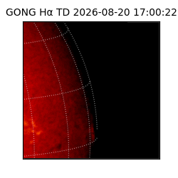 gong - 2026-08-20T17:00:22