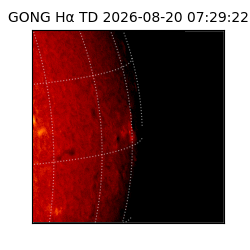 gong - 2026-08-20T07:29:22