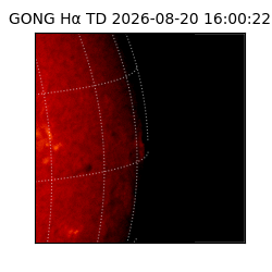 gong - 2026-08-20T16:00:22