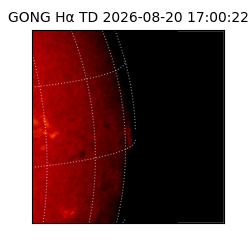 gong - 2026-08-20T17:00:22