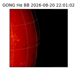 gong - 2026-08-20T22:01:02