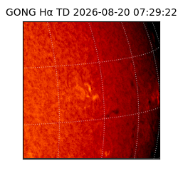 gong - 2026-08-20T07:29:22