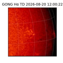 gong - 2026-08-20T12:00:22