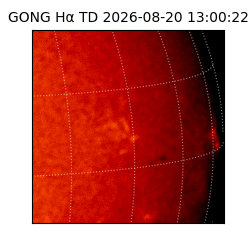 gong - 2026-08-20T13:00:22