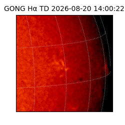 gong - 2026-08-20T14:00:22