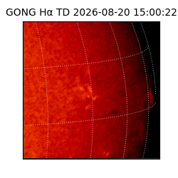 gong - 2026-08-20T15:00:22