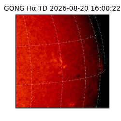 gong - 2026-08-20T16:00:22