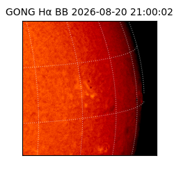 gong - 2026-08-20T21:00:02