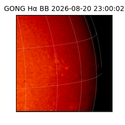 gong - 2026-08-20T23:00:02