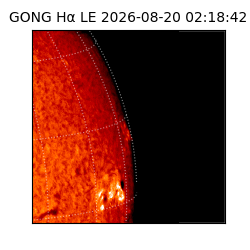 gong - 2026-08-20T02:18:42