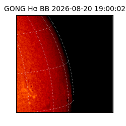 gong - 2026-08-20T19:00:02
