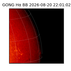 gong - 2026-08-20T22:01:02