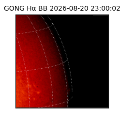 gong - 2026-08-20T23:00:02